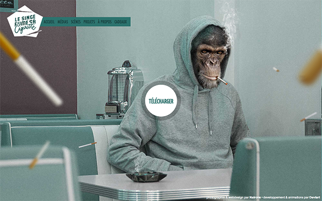 վ ҳƷ ҳ վû